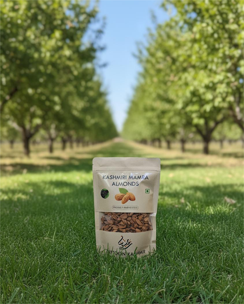 Kashmiri Mamra Almond Kernels