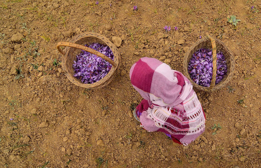 KAshmiri Pure Saffron