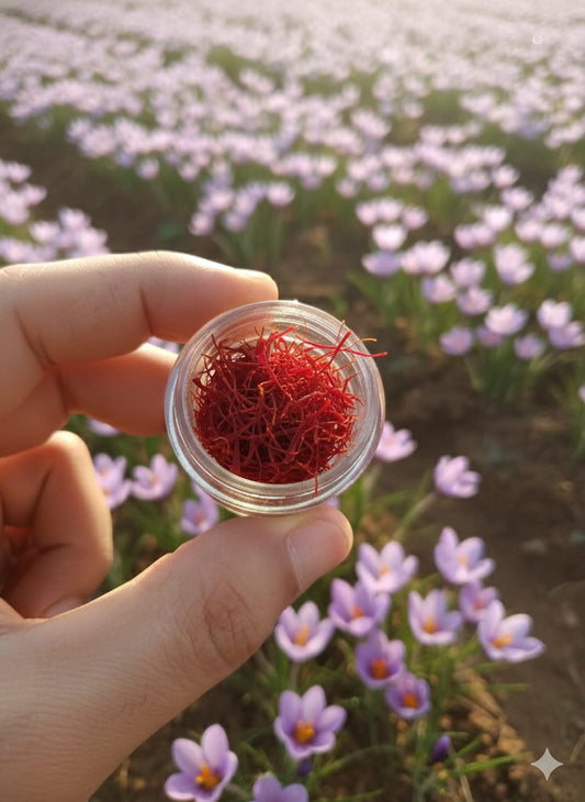 Kashmiri saffron in global cuisine