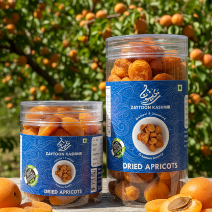 Jars of dried apricots with apricot trees in the background