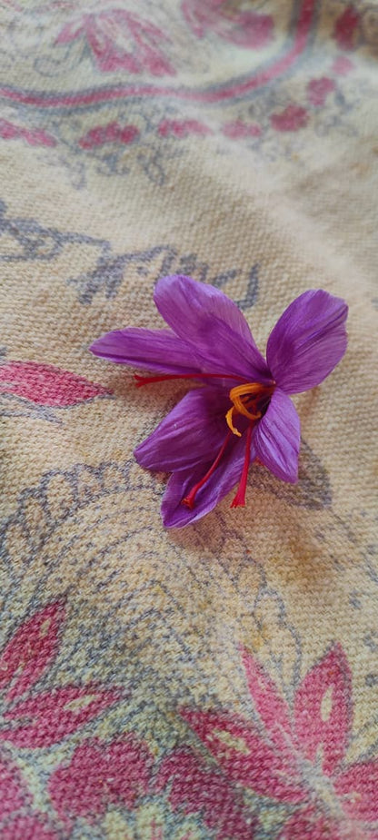 Kashmiri Mongra Saffron