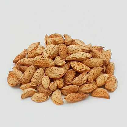 Kashmiri Paper-Shell Almonds (In Shell)